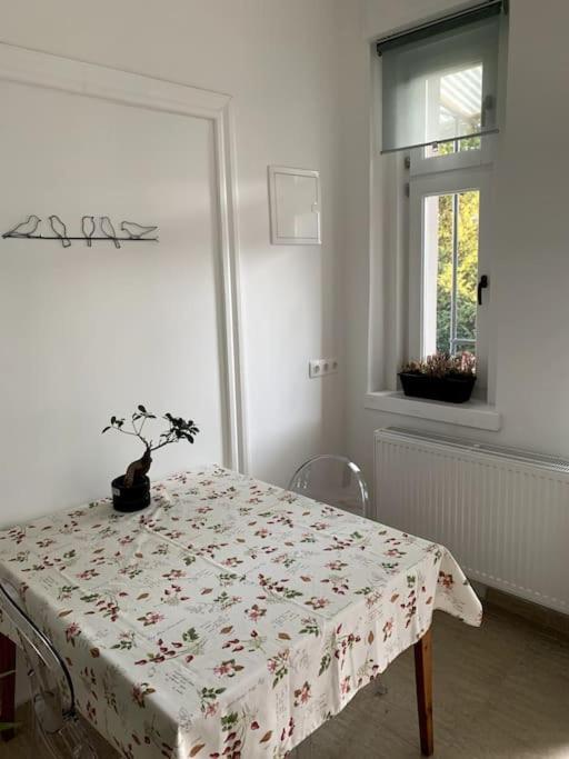 Parokia Apartman Es Coworking A Balaton Mellett Kaptalantoti Exterior foto